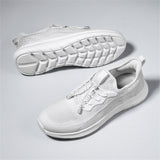 Vivo Baskets