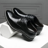 Chaussures classiques Roma Wingtip