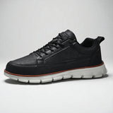 Sneaker Pierre